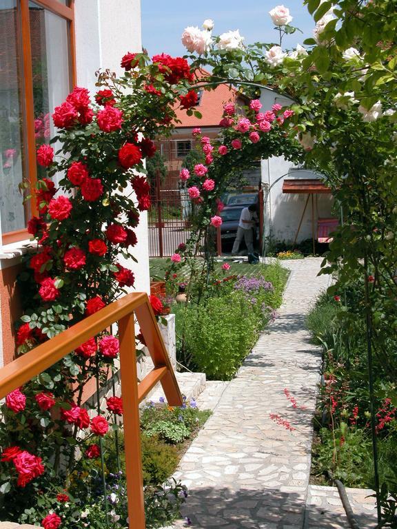 Pensiunea Sub Cetate Deva Exterior foto