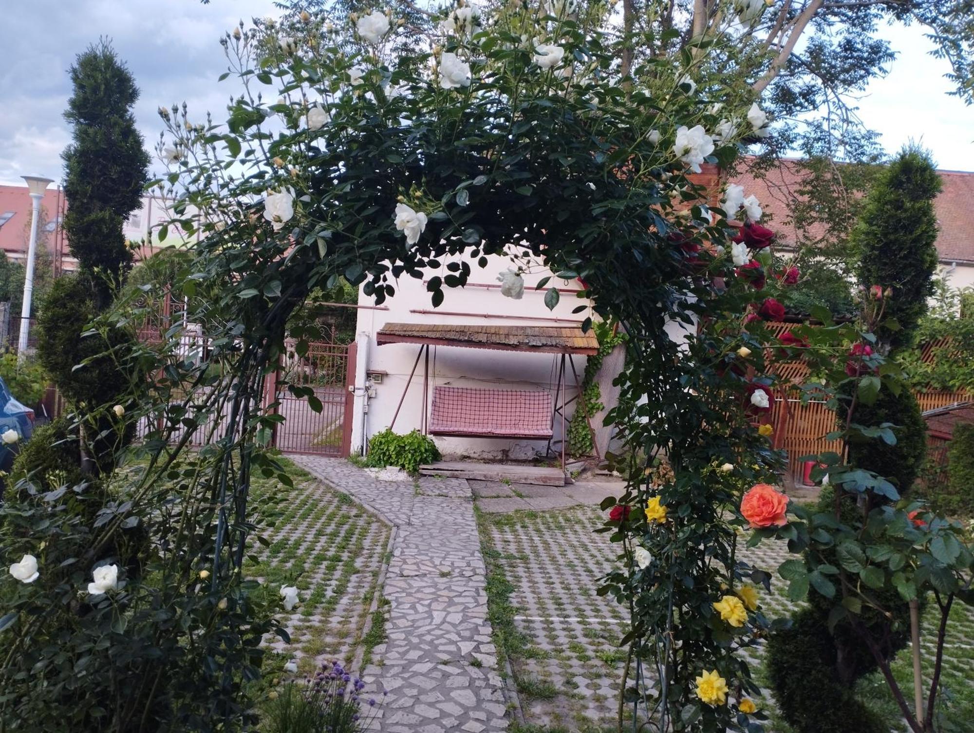 Pensiunea Sub Cetate Deva Exterior foto