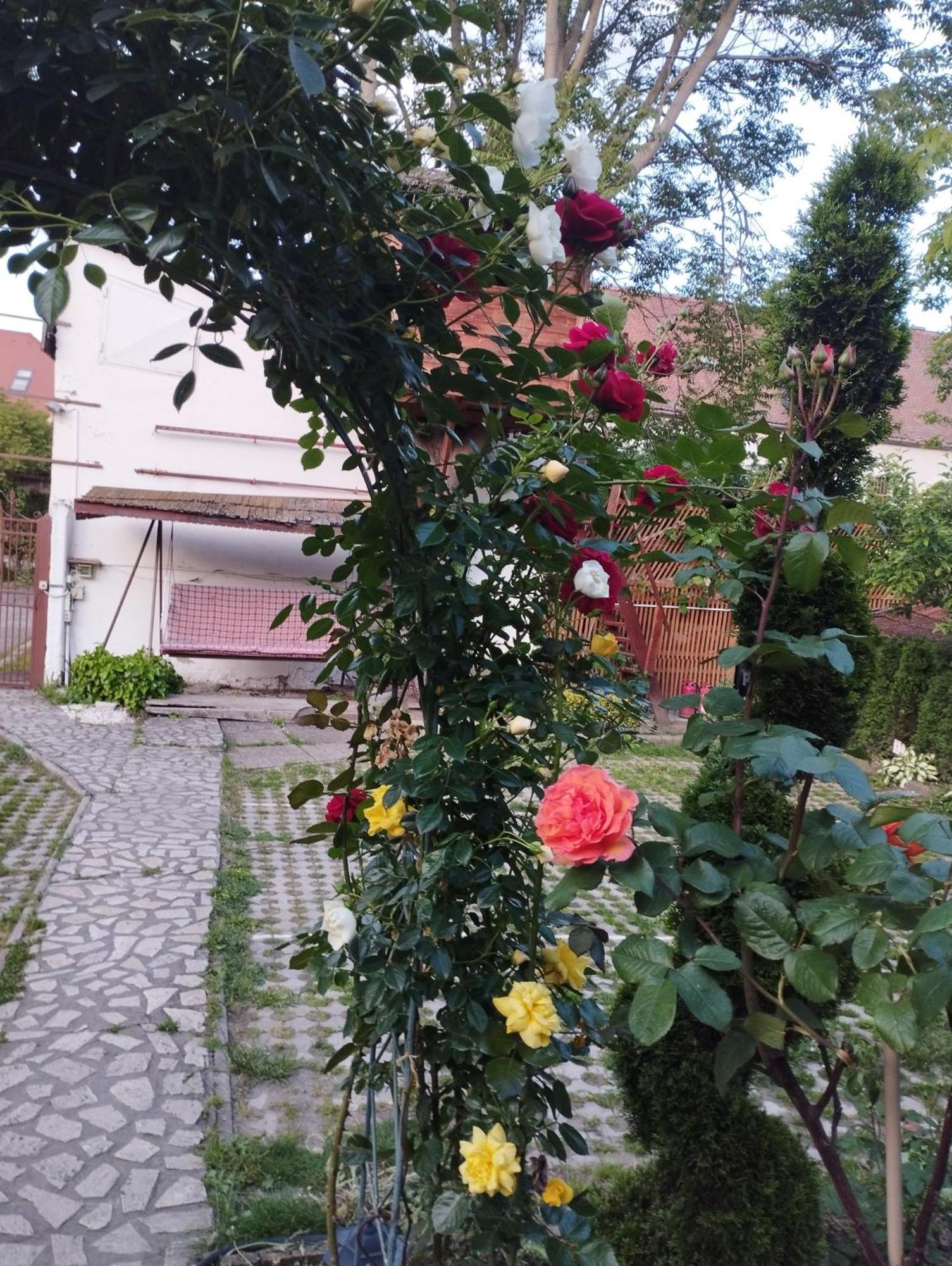 Pensiunea Sub Cetate Deva Exterior foto