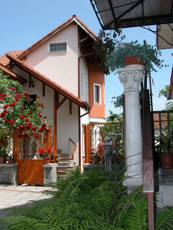 Pensiunea Sub Cetate Deva Exterior foto