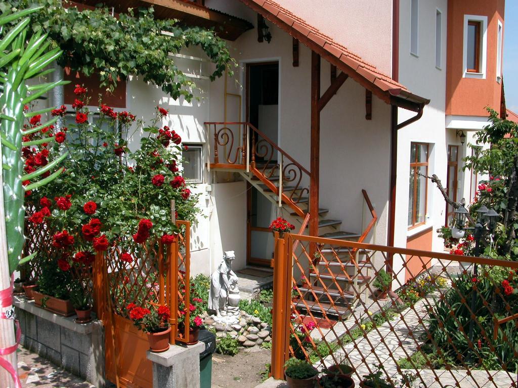 Pensiunea Sub Cetate Deva Exterior foto